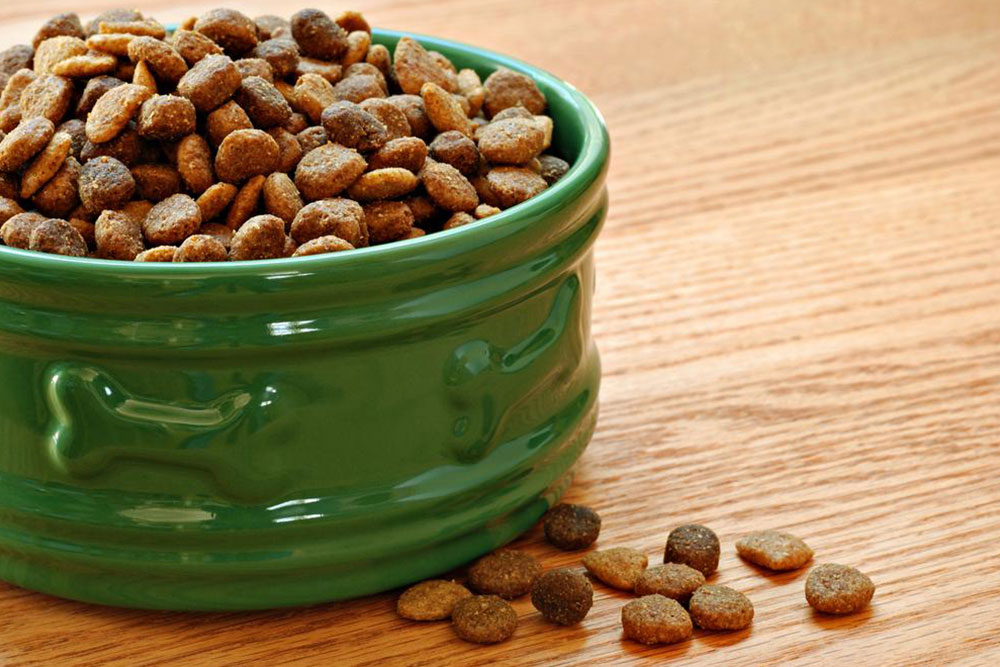5 best dog foods that are great for your allergic pet